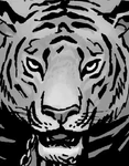 Shiva108