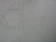 IMG 1074 (2)