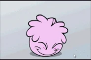 Pink puffle cried!