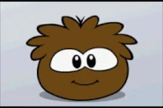 Brown puffle tickle