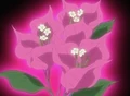 HPC16.Flower