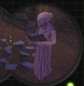 LibraryGhostinGBTVGSVsc01