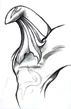 Quezacotl FFVIII Portrait Art
