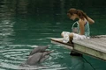 Cleo With Dolphins