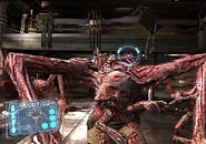 DS Extraction 21