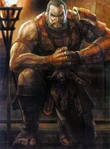 Huang Gai