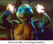 Tmnt venus