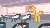 Mr. Cake a father now S2E13