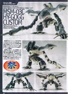 HY-GOGG CUSTOM