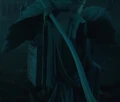RiddleGrave1.jpg