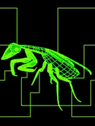 FO1 Mantis target