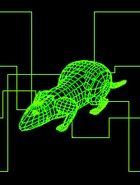 FO1 Rat target