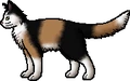 Snapper.rogue.png