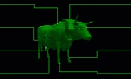 FOT Brahmin target
