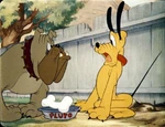 Butch and Pluto