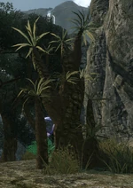 Unknownplant5