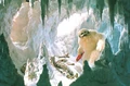 HothWampaCaveAll.jpg