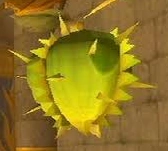Water Fruit