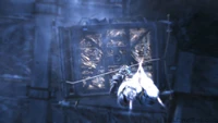 Roanokejump