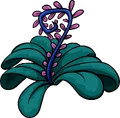 Jungle Bloom!