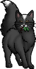 Mudfur.mc.alt