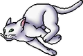 Half Moon.softpaw