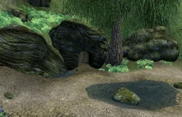 Swampy Cave