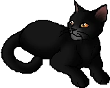 Nightfur.star