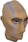 Harold Evans chathead