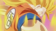 GokuvsBills5