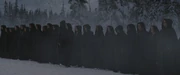 Volturi guard
