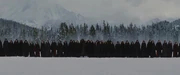 Volturi guard 2