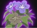 HPC20.Flower