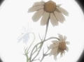 HPC23.Flower