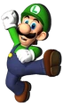 Luigi-BoardWin-MP9