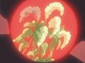 HPC31.Flower