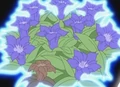 HPC35.Flower