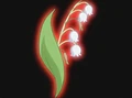 HPC43.Flower