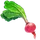 Ingredient-Beet
