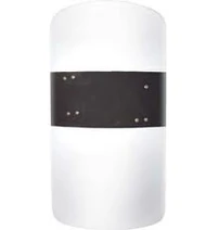Riot shield