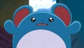 EP612 Marill atascado.png