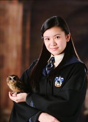 Cho chang