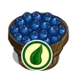 Organic Blueberry Bushel-icon