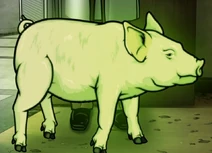 Pigley III