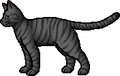 Jagged Peak.rogue.png