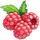 Ingredient-Rich Raspberry