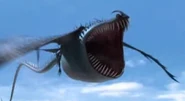 Thunder Drum 1