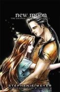 NewMoon Graphic Novel