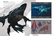 Brzak Info Sheet