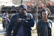 TWD GP 316 1116 0098-630x418
